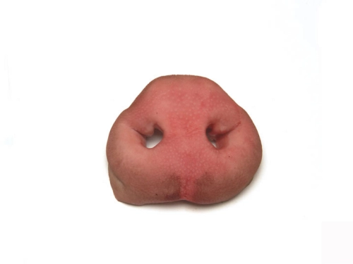 Buy A Wholesale pig snouts
